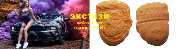 молекула духа Арсеньев