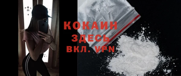 кокс Алексин