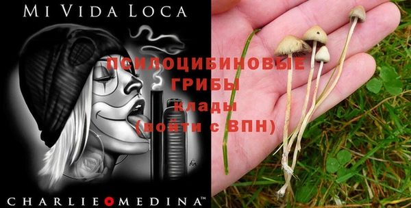таблы Алексеевка